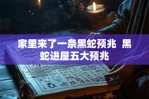 家里来了一条黑蛇预兆  黑蛇进屋五大预兆