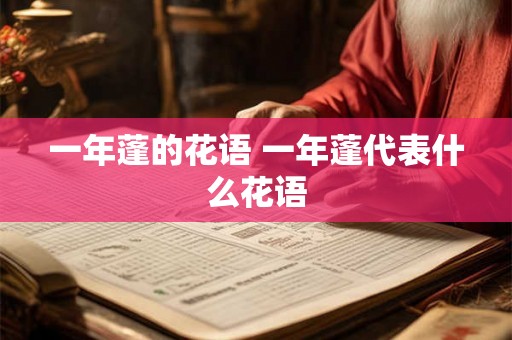 一年蓬的花语 一年蓬代表什么花语 一年蓬的花语 一年蓬代表什么花语
