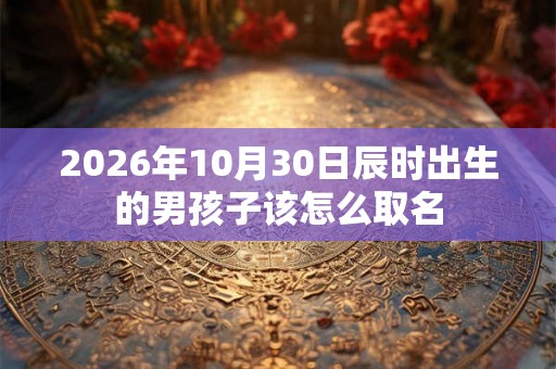 2026年10月30日辰时出生的男孩子该怎么取名