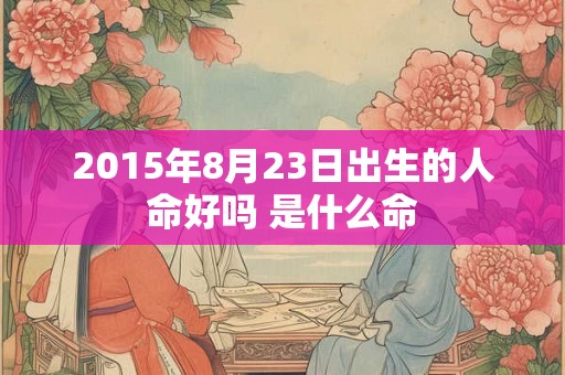 2015年8月23日出生的人命好吗 是什么命