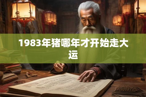 1983年猪哪年才开始走大运