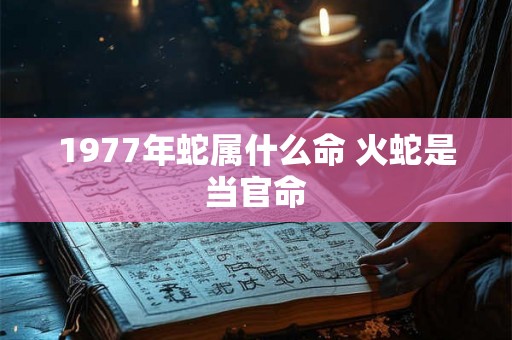 1977年蛇属什么命 火蛇是当官命