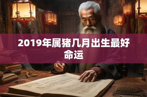 2019年属猪几月出生最好命运