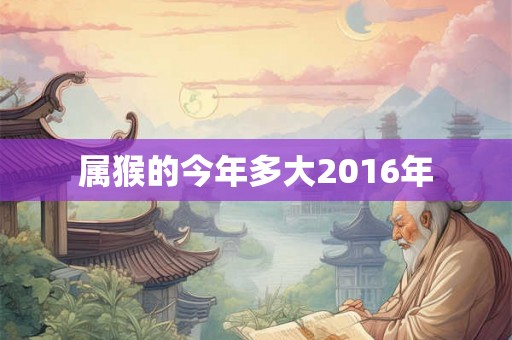 属猴的今年多大2016年