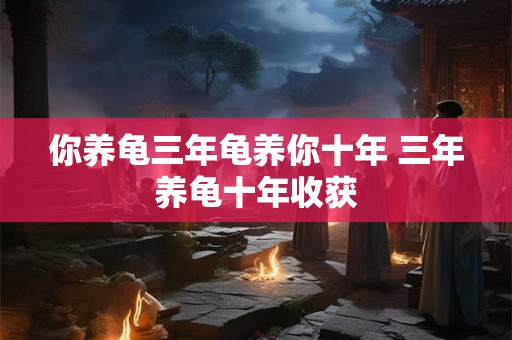 你养龟三年龟养你十年 三年养龟十年收获
