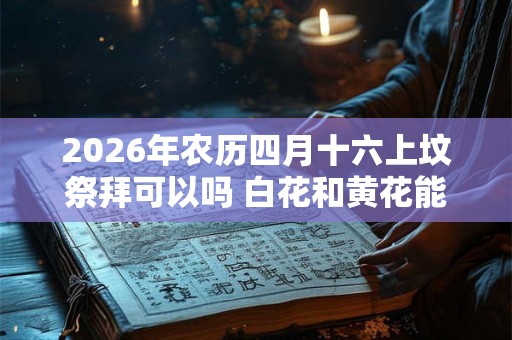 2026年农历四月十六上坟祭拜可以吗 白花和黄花能插在一起吗 2026年农历四月十六上坟祭拜可以吗 白花和黄花能插在一起吗