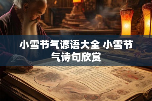 小雪节气谚语大全 小雪节气诗句欣赏 小雪节气谚语大全 小雪节气诗句欣赏