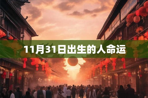 11月31日出生的人命运