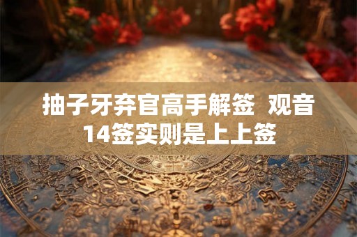 抽子牙弃官高手解签  观音14签实则是上上签