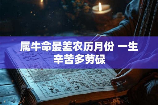 属牛命最差农历月份 一生辛苦多劳碌