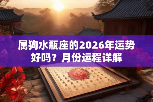 属狗水瓶座的2026年运势好吗？月份运程详解