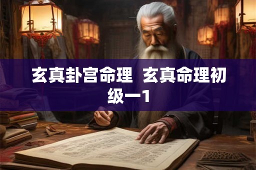 玄真卦宫命理  玄真命理初级一1