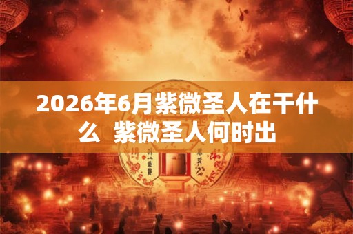 2026年6月紫微圣人在干什么  紫微圣人何时出