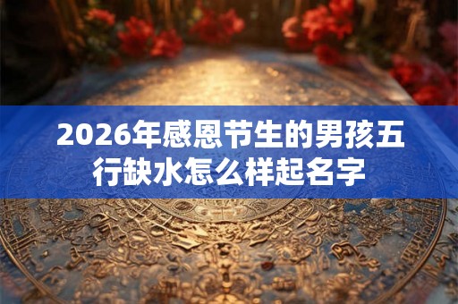 2026年感恩节生的男孩五行缺水怎么样起名字