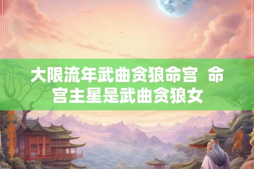 大限流年武曲贪狼命宫  命宫主星是武曲贪狼女
