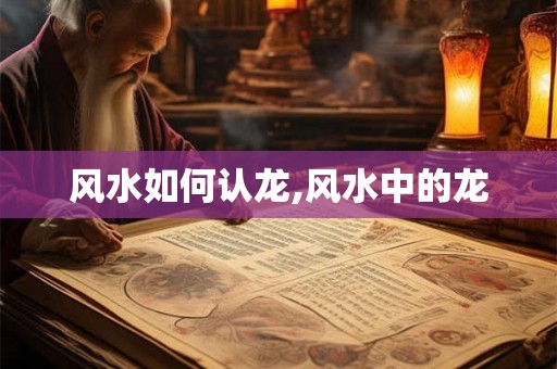 风水如何认龙,风水中的龙