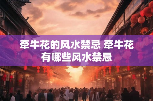 牵牛花的风水禁忌 牵牛花有哪些风水禁忌