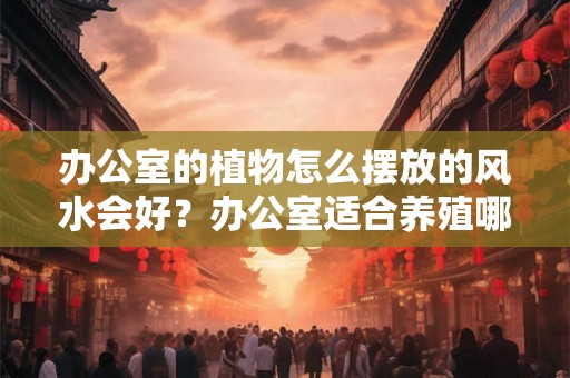 办公室的植物怎么摆放的风水会好？办公室适合养殖哪些植物？