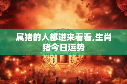属猪的人都进来看看,生肖猪今日运势