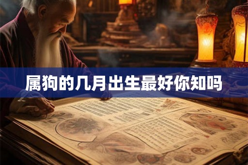 属狗的几月出生最好你知吗