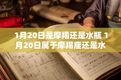 1月20日是摩羯还是水瓶 1月20日属于摩羯座还是水瓶座