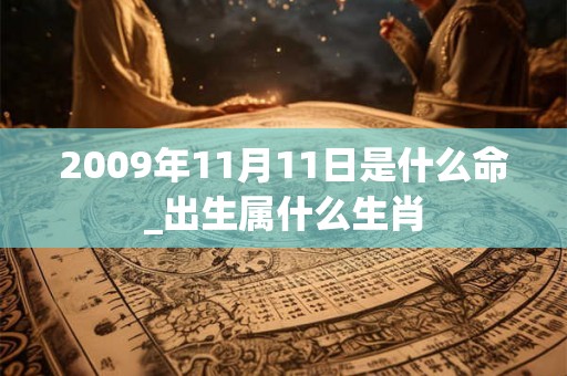 2009年11月11日是什么命_出生属什么生肖