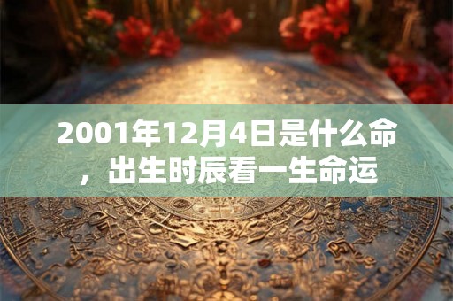 2001年12月4日是什么命，出生时辰看一生命运