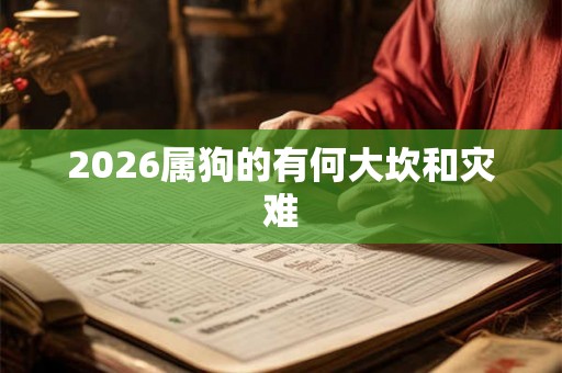 2026属狗的有何大坎和灾难