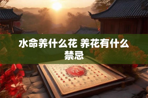 水命养什么花 养花有什么禁忌