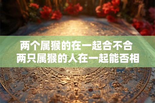 两个属猴的在一起合不合 两只属猴的人在一起能否相处融洽