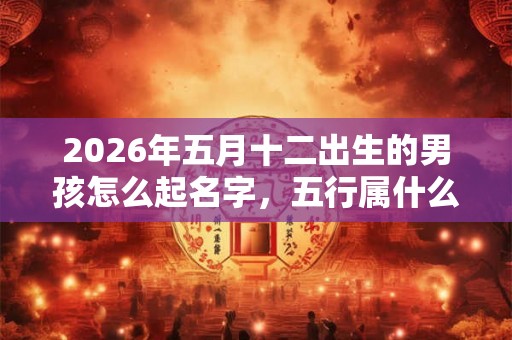 2026年五月十二出生的男孩怎么起名字，五行属什么
