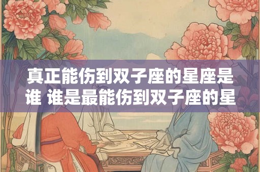 真正能伤到双子座的星座是谁 谁是最能伤到双子座的星座