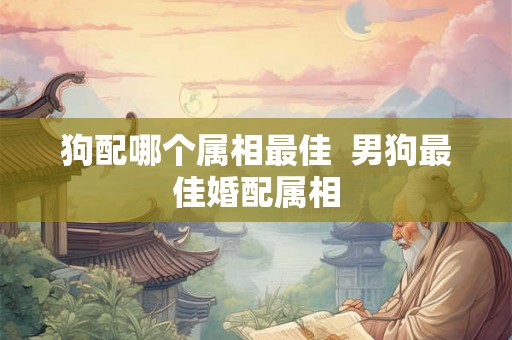 狗配哪个属相最佳  男狗最佳婚配属相