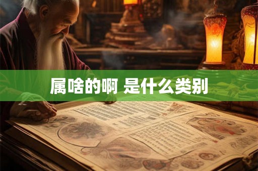 属啥的啊 是什么类别 属啥的啊 是什么类别