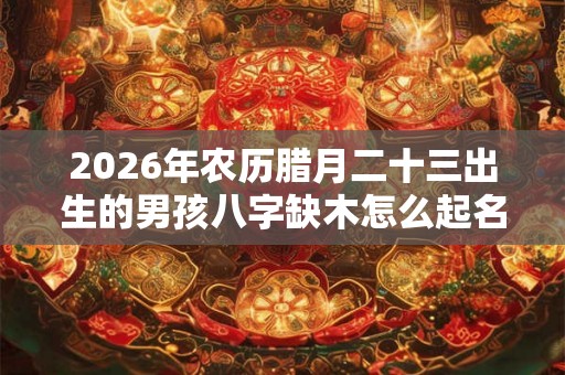 2026年农历腊月二十三出生的男孩八字缺木怎么起名更好？