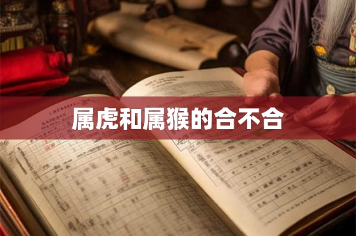 属虎和属猴的合不合