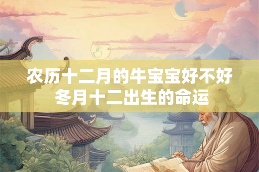 农历十二月的牛宝宝好不好 冬月十二出生的命运 农历十二月的牛宝宝好不好 冬月十二出生的命运