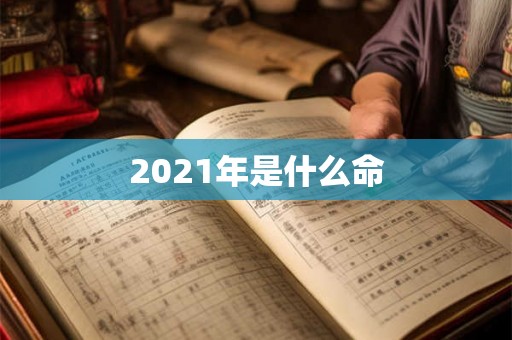 2021年是什么命