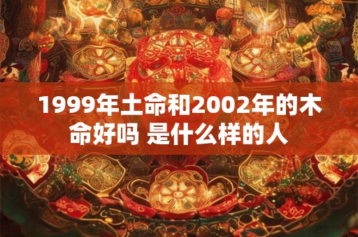 1999年土命和2002年的木命好吗 是什么样的人