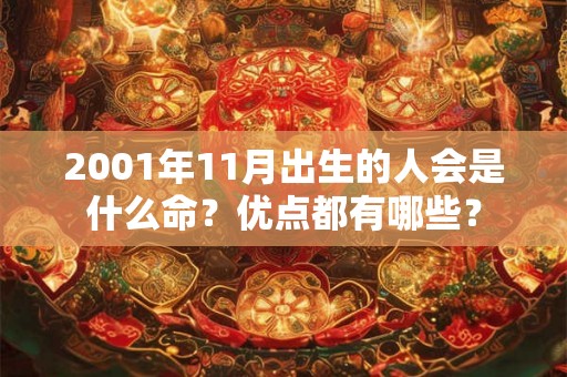 2001年11月出生的人会是什么命？优点都有哪些？