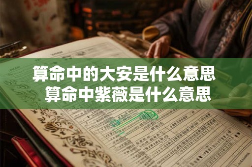算命中的大安是什么意思  算命中紫薇是什么意思