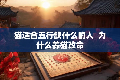 猫适合五行缺什么的人  为什么养猫改命