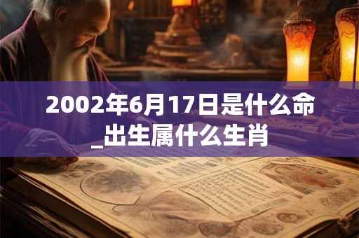 2002年6月17日是什么命_出生属什么生肖