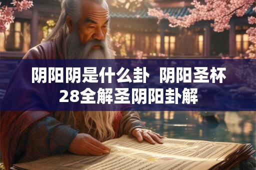 阴阳阴是什么卦  阴阳圣杯28全解圣阴阳卦解