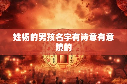 姓杨的男孩名字有诗意有意境的