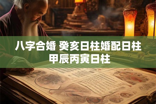 八字合婚 癸亥日柱婚配日柱 甲辰丙寅日柱