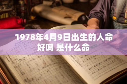 1978年4月9日出生的人命好吗 是什么命