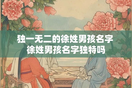 独一无二的徐姓男孩名字 徐姓男孩名字独特吗