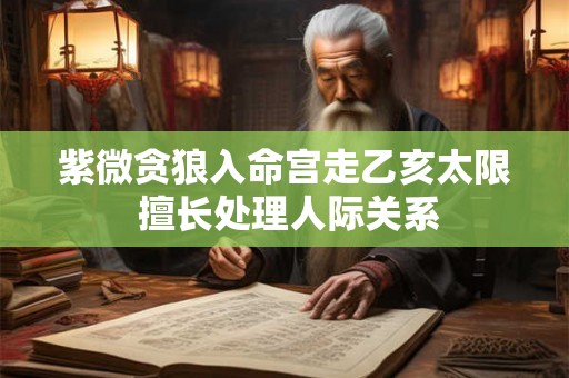 紫微贪狼入命宫走乙亥太限 擅长处理人际关系