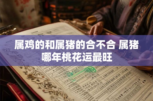 属鸡的和属猪的合不合 属猪哪年桃花运最旺
